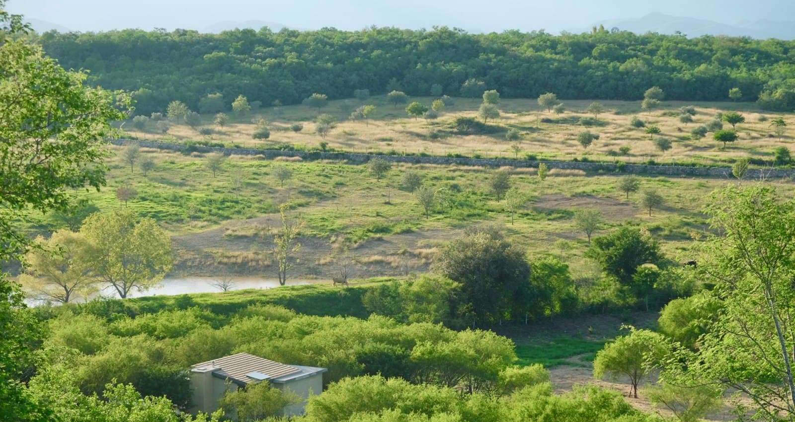 Vista aérea del fraccionamiento Cantera Real